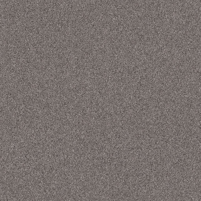 INFLUENCER 100% High Performance PET Carpet 12 ft. x Custom Length