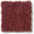 DYERSBURG CLASSIC 12' 100% Pet Polyester Carpet 12 ft. x Custom Length R2X® Built-in Stain & Soil Protection