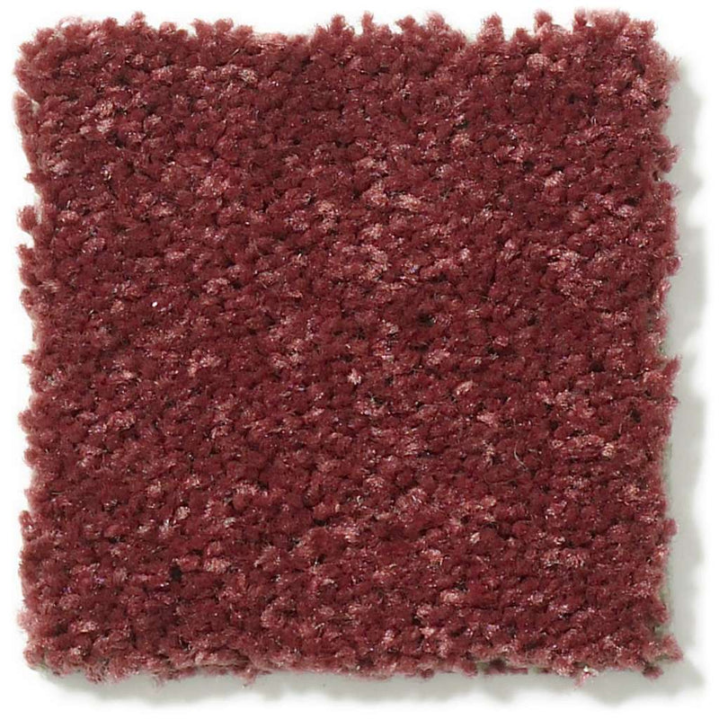 DYERSBURG CLASSIC 12' 100% Pet Polyester Carpet 12 ft. x Custom Length R2X® Built-in Stain & Soil Protection
