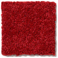 DYERSBURG CLASSIC 12' 100% Pet Polyester Carpet 12 ft. x Custom Length R2X® Built-in Stain & Soil Protection