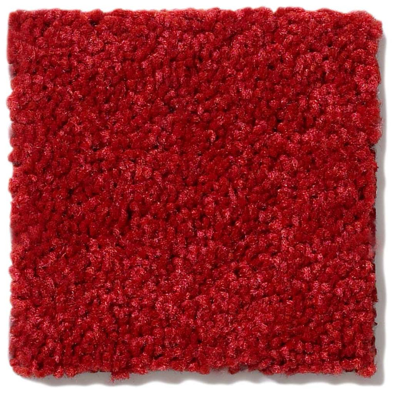 DYERSBURG CLASSIC 12' 100% Pet Polyester Carpet 12 ft. x Custom Length R2X® Built-in Stain & Soil Protection