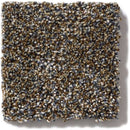 OF COURSE WE CAN II 12' 100% Pet Polyester Carpet 12 ft. x Custom Length R2X® Built-in Stain & Soil Protection