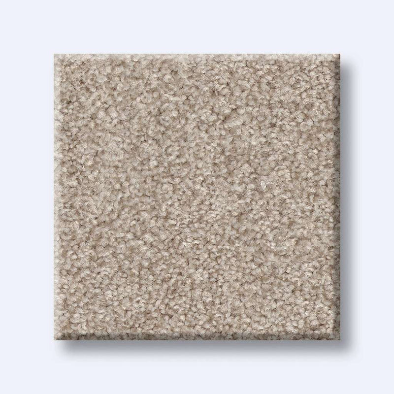 HARMONIOUS I 100% Nylon Carpet 12 ft. x Custom Length R2X® Built-in Stain & Soil Protection