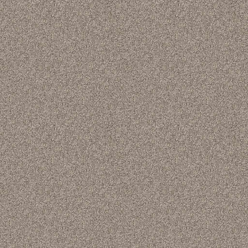 INFLUENCER 100% High Performance PET Carpet 12 ft. x Custom Length