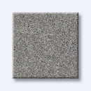HARMONIOUS I 100% Nylon Carpet 12 ft. x Custom Length R2X® Built-in Stain & Soil Protection