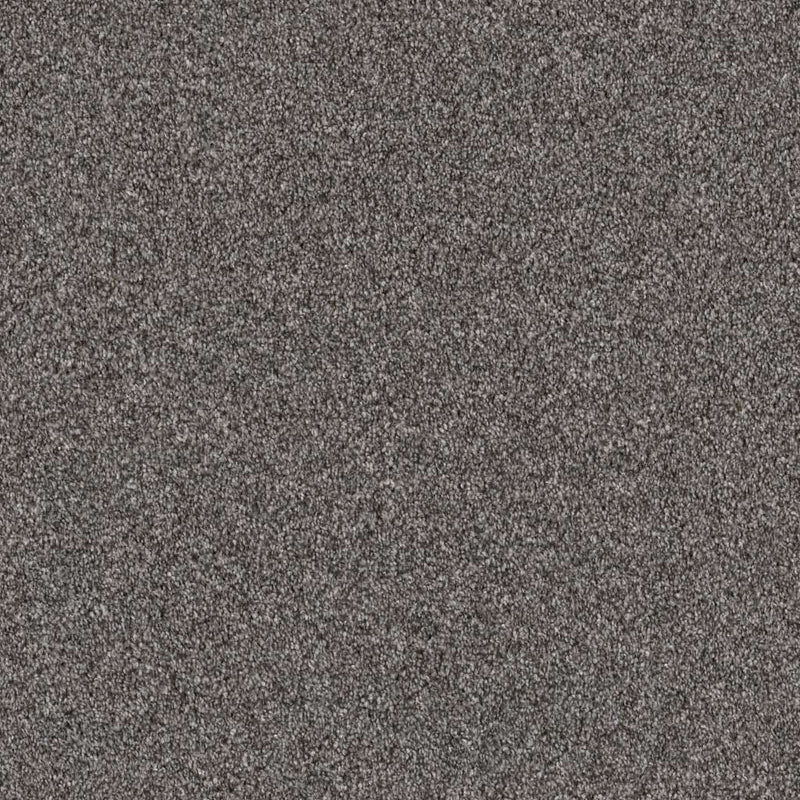 INFLUENCER 100% High Performance PET Carpet 12 ft. x Custom Length