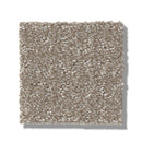 TRANSFORM 100% SD PET Polyester Carpet 12 ft. x Custom Length