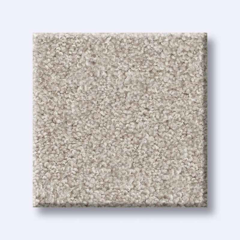 HARMONIOUS II 100% Nylon Carpet 12 ft. x Custom Length R2X® Built-in Stain & Soil Protection