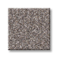 TRUSPIRIT I 100% SD PET Polyester Carpet 12 ft. x Custom Length