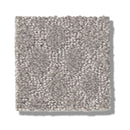 TRANSCENDING 100% SD PET Polyester Carpet 12 ft. x Custom Length