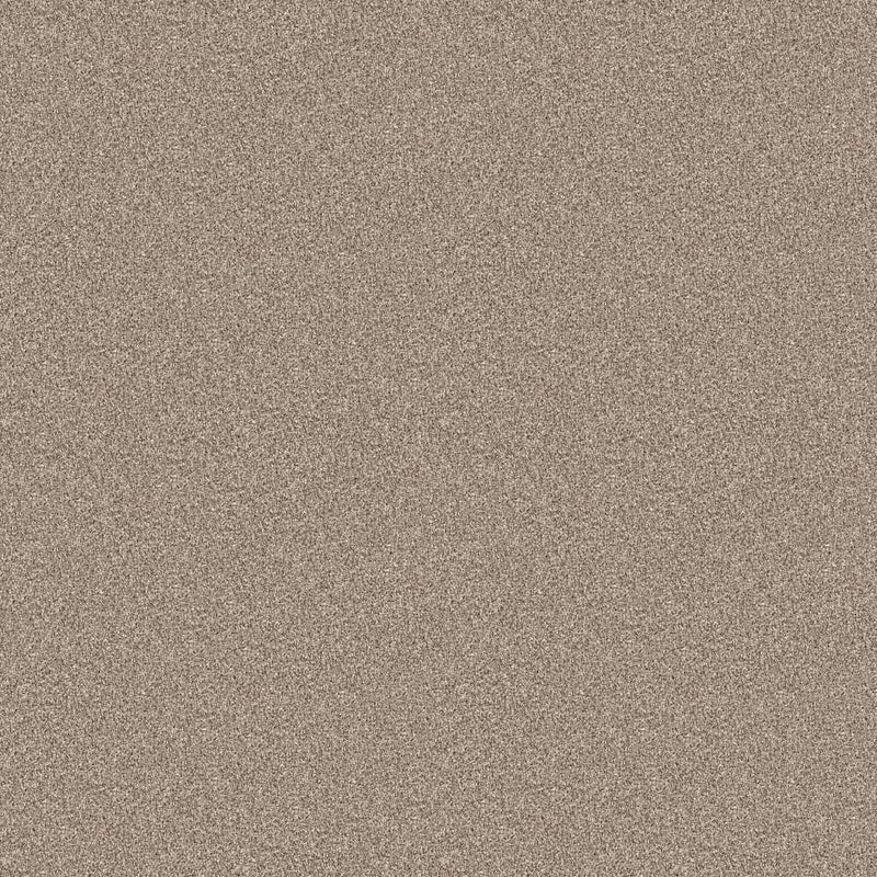 INFLUENCER 100% High Performance PET Carpet 12 ft. x Custom Length