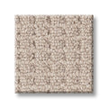 FAINT INTENT 100% Nylon Carpet 12 ft. x Custom Length R2X® Built-in Stain & Soil Protection
