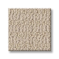 CHIC ELEVATION 100% High Performance PET Carpet 12 ft. x Custom Length