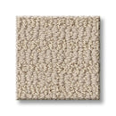 CHIC ELEVATION 100% High Performance PET Carpet 12 ft. x Custom Length