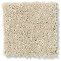 DYERSBURG CLASSIC 12' 100% Pet Polyester Carpet 12 ft. x Custom Length R2X® Built-in Stain & Soil Protection