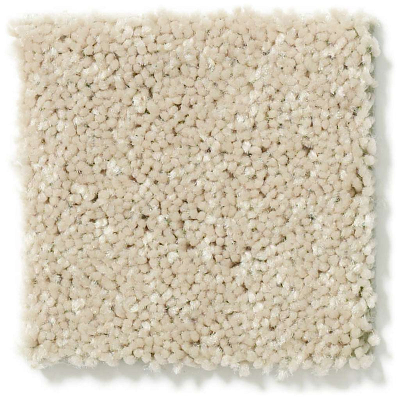 DYERSBURG CLASSIC 12' 100% Pet Polyester Carpet 12 ft. x Custom Length R2X® Built-in Stain & Soil Protection