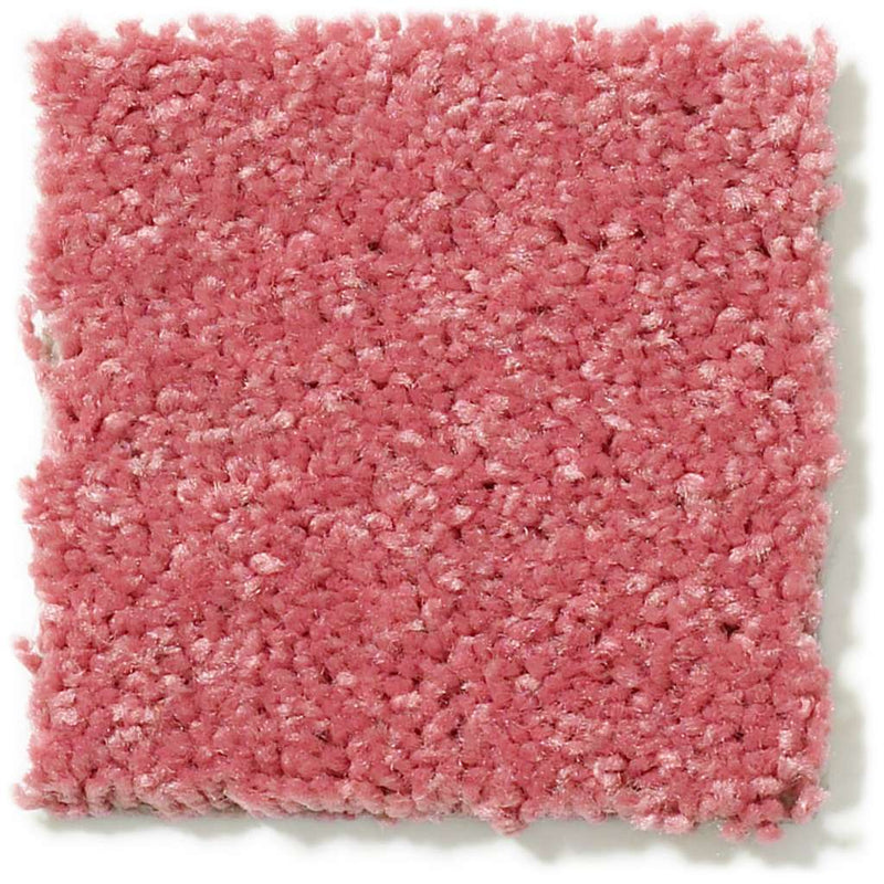 DYERSBURG CLASSIC 12' 100% Pet Polyester Carpet 12 ft. x Custom Length R2X® Built-in Stain & Soil Protection