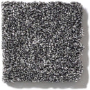 OF COURSE WE CAN II 12' 100% Pet Polyester Carpet 12 ft. x Custom Length R2X® Built-in Stain & Soil Protection