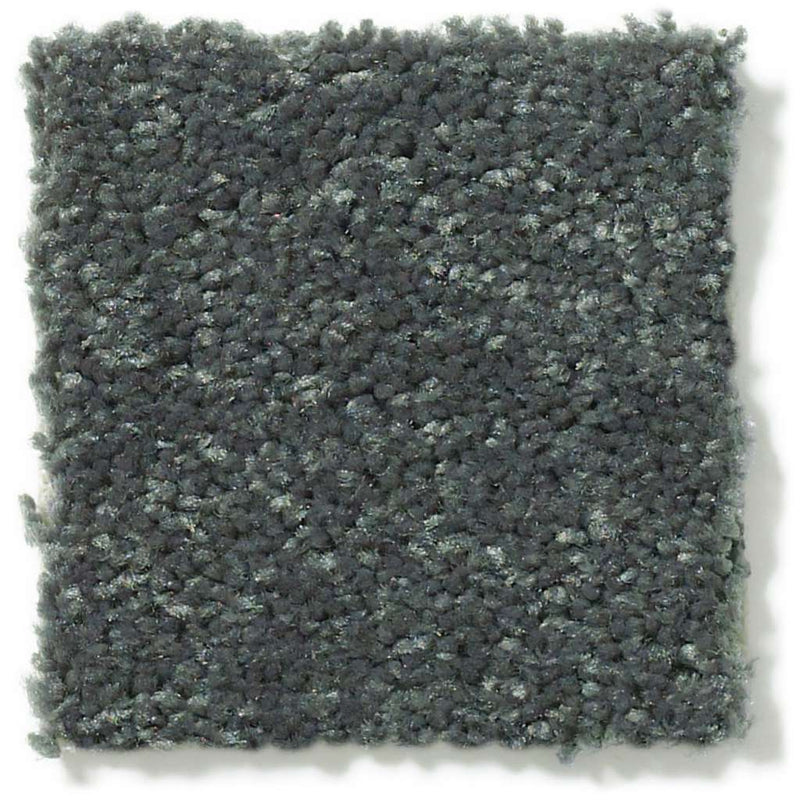 DYERSBURG CLASSIC 12' 100% Pet Polyester Carpet 12 ft. x Custom Length R2X® Built-in Stain & Soil Protection