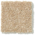 DYERSBURG CLASSIC 12' 100% Pet Polyester Carpet 12 ft. x Custom Length R2X® Built-in Stain & Soil Protection