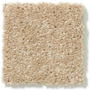 DYERSBURG CLASSIC 12' 100% Pet Polyester Carpet 12 ft. x Custom Length R2X® Built-in Stain & Soil Protection