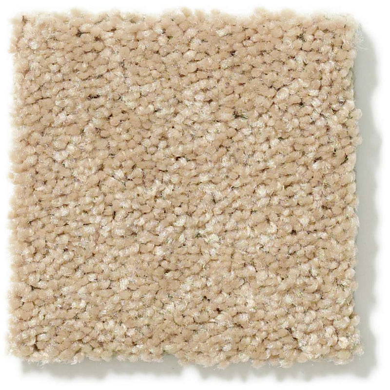 DYERSBURG CLASSIC 12' 100% Pet Polyester Carpet 12 ft. x Custom Length R2X® Built-in Stain & Soil Protection