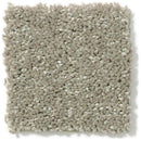 DYERSBURG CLASSIC 12' 100% Pet Polyester Carpet 12 ft. x Custom Length R2X® Built-in Stain & Soil Protection