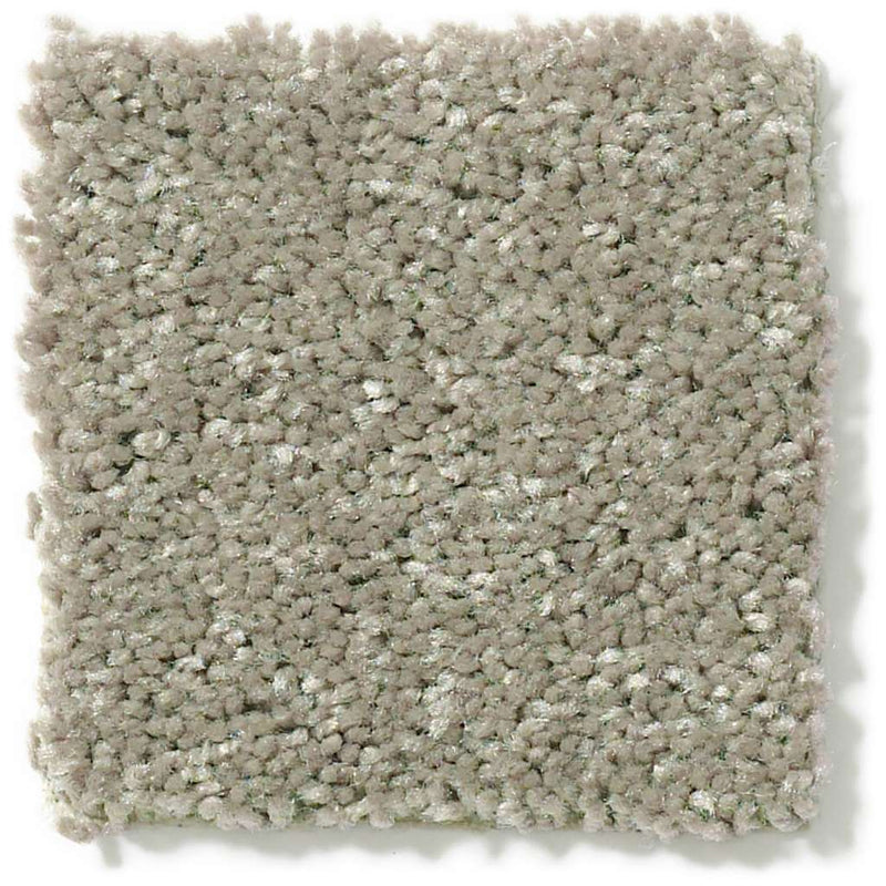 DYERSBURG CLASSIC 12' 100% Pet Polyester Carpet 12 ft. x Custom Length R2X® Built-in Stain & Soil Protection
