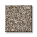 TRUSPIRIT I 100% SD PET Polyester Carpet 12 ft. x Custom Length