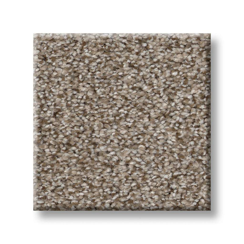 TRUSPIRIT I 100% SD PET Polyester Carpet 12 ft. x Custom Length