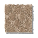 VERSATILE 100% SD PET Polyester Carpet 12 ft. x Custom Length