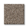 TRUSPIRIT I 100% SD PET Polyester Carpet 12 ft. x Custom Length