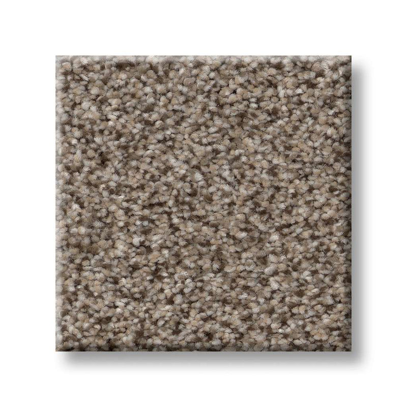 TRUSPIRIT I 100% SD PET Polyester Carpet 12 ft. x Custom Length