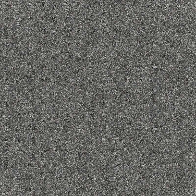 INFLUENCER 100% High Performance PET Carpet 12 ft. x Custom Length