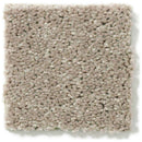 DYERSBURG CLASSIC 12' 100% Pet Polyester Carpet 12 ft. x Custom Length R2X® Built-in Stain & Soil Protection