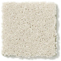 DYERSBURG CLASSIC 12' 100% Pet Polyester Carpet 12 ft. x Custom Length R2X® Built-in Stain & Soil Protection