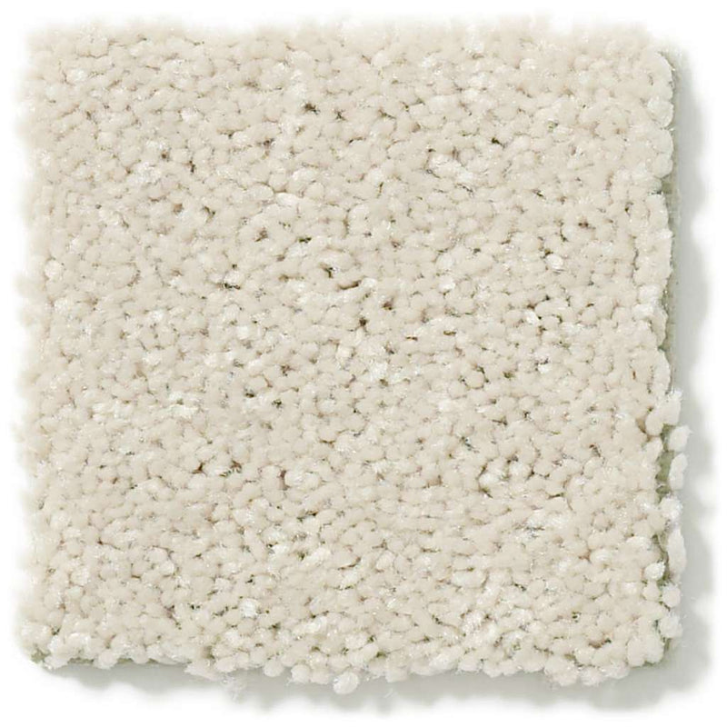 DYERSBURG CLASSIC 12' 100% Pet Polyester Carpet 12 ft. x Custom Length R2X® Built-in Stain & Soil Protection