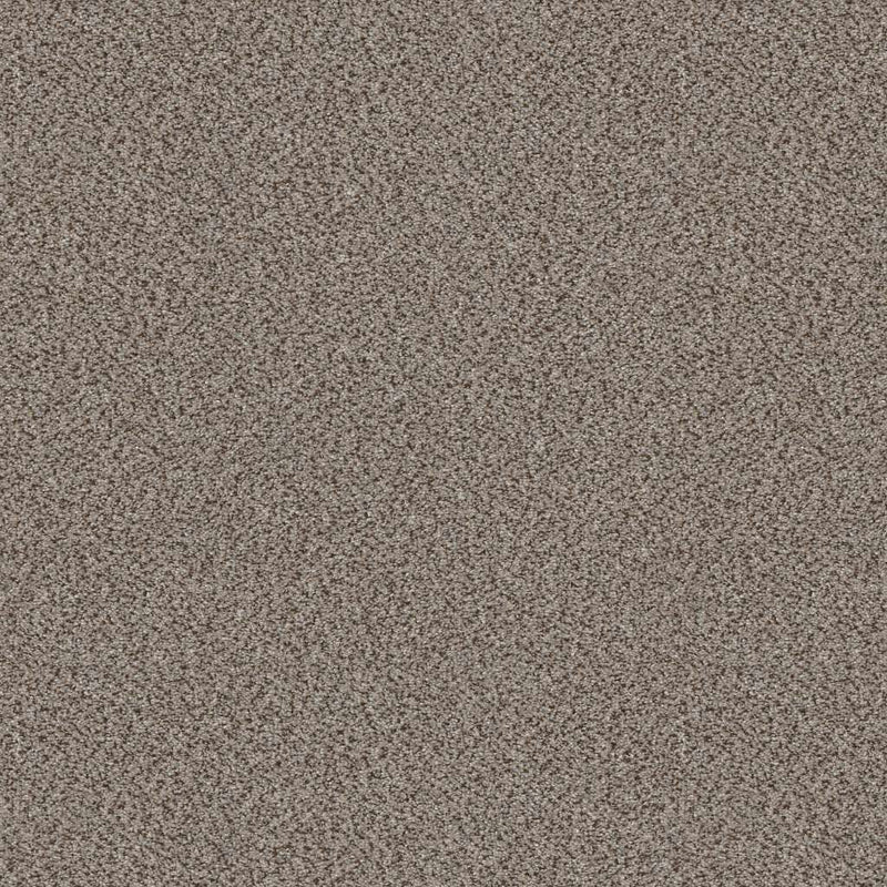 TRUSPIRIT I 100% SD PET Polyester Carpet 12 ft. x Custom Length