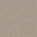 TRUSPIRIT II 100% SD PET Polyester Carpet 12 ft. x Custom Length