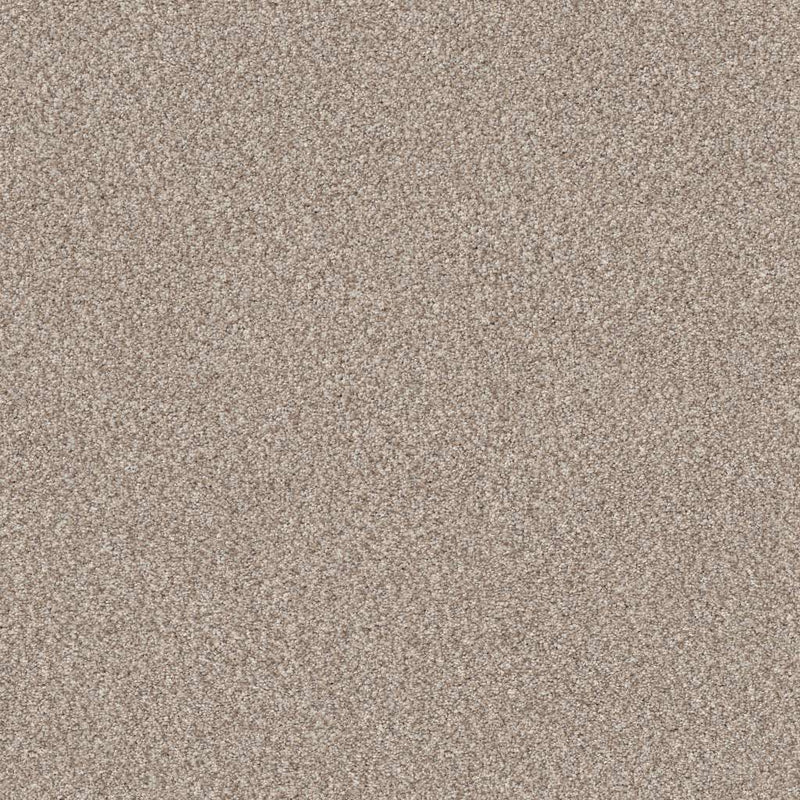TRUSPIRIT II 100% SD PET Polyester Carpet 12 ft. x Custom Length