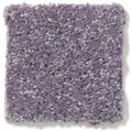 DYERSBURG CLASSIC 12' 100% Pet Polyester Carpet 12 ft. x Custom Length R2X® Built-in Stain & Soil Protection