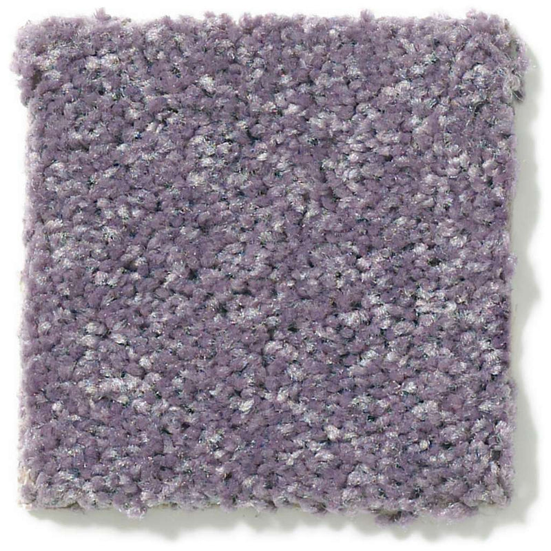 DYERSBURG CLASSIC 12' 100% Pet Polyester Carpet 12 ft. x Custom Length R2X® Built-in Stain & Soil Protection