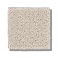 MAINSTAY 100% Nylon Carpet 12 ft. x Custom Length R2X® Built-in Stain & Soil Protection