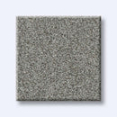 HARMONIOUS I 100% Nylon Carpet 12 ft. x Custom Length R2X® Built-in Stain & Soil Protection