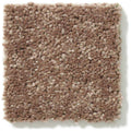 DYERSBURG CLASSIC 12' 100% Pet Polyester Carpet 12 ft. x Custom Length R2X® Built-in Stain & Soil Protection