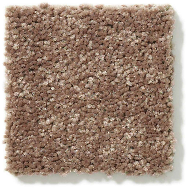 DYERSBURG CLASSIC 12' 100% Pet Polyester Carpet 12 ft. x Custom Length R2X® Built-in Stain & Soil Protection