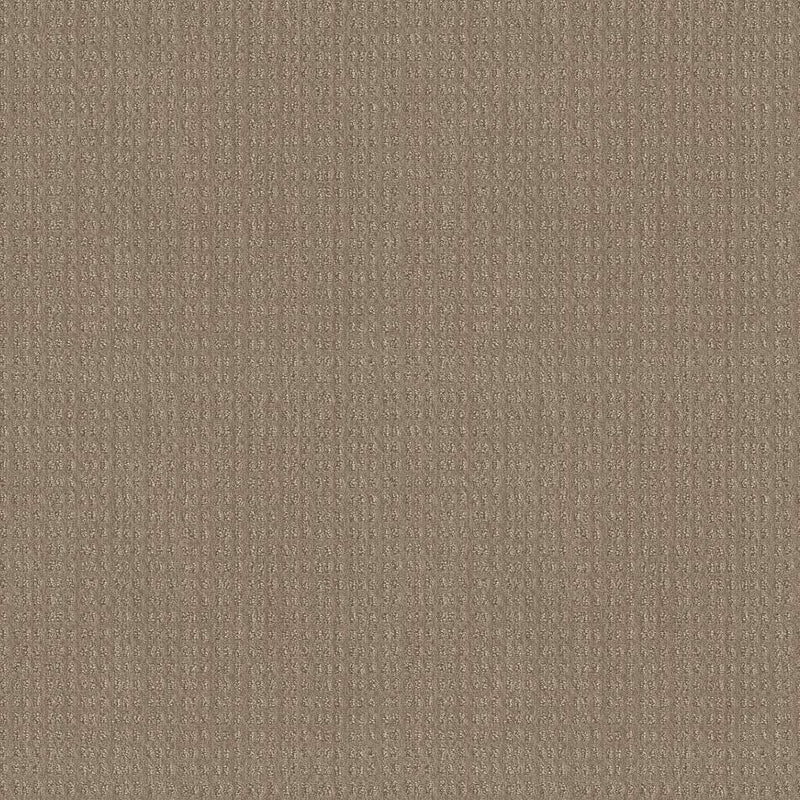 ESSENTIAL NOW 100% Nylon Carpet 12 ft. x Custom Length R2X® Built-in Stain & Soil Protection