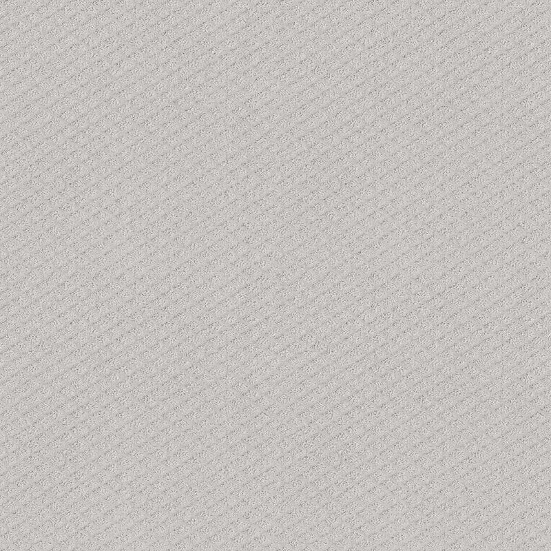 FORMALIZE 100% Nylon Carpet 12 ft. x Custom Length R2X® Built-in Stain & Soil Protection