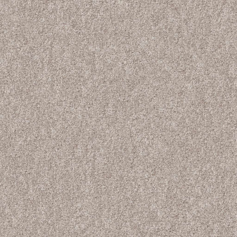HARMONIOUS III 100% Nylon Carpet 12 ft. x Custom Length R2X® Built-in Stain & Soil Protection