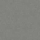 HARMONIOUS I 100% Nylon Carpet 12 ft. x Custom Length R2X® Built-in Stain & Soil Protection